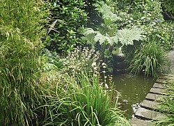 Lush oasis, Karori