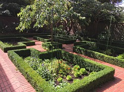 Organic vegetable garden, Khandallah